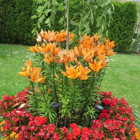 Pawel Jakubik Krynica Morska