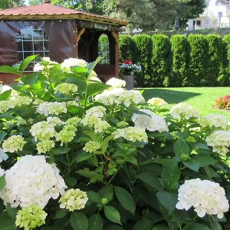 Pawel Jakubik * Крыница-Морска