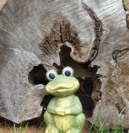 Pawel Jakubik Quarto em Acomodações Particulares