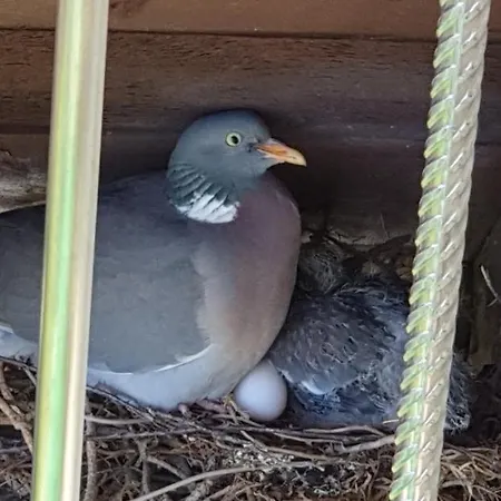 Quarto em Acomodações Particulares Pawel Jakubik *