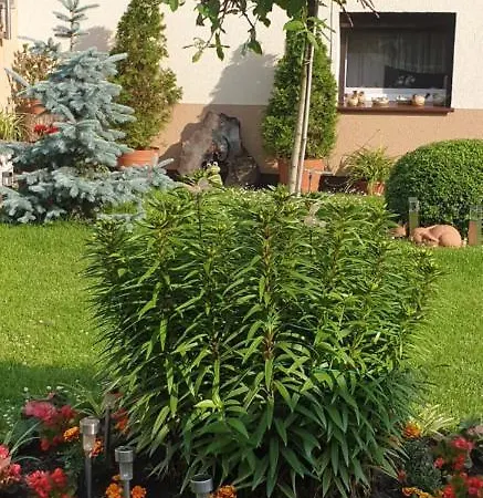 Pawel Jakubik Quarto em Acomodações Particulares