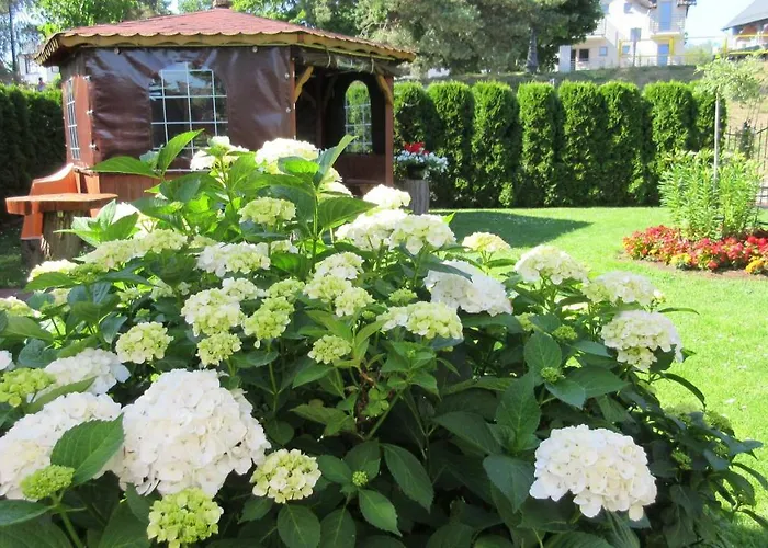 Pawel Jakubik * קריניצה מורסקה