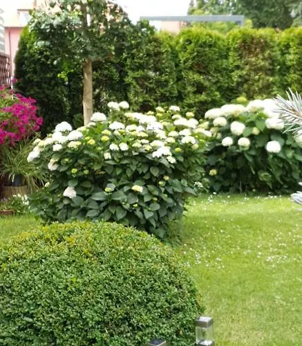 Pawel Jakubik קריניצה מורסקה