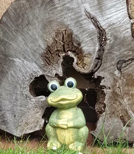 Pawel Jakubik בית אירוח