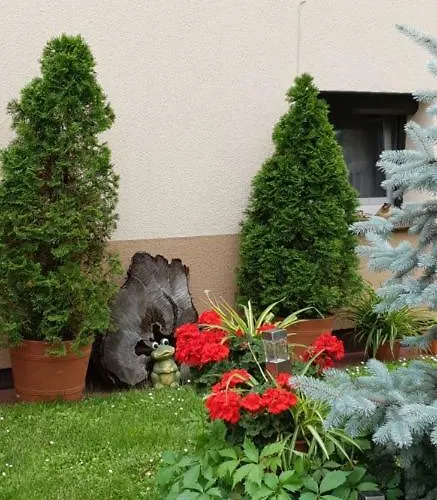 Pawel Jakubik * Krynica Morska