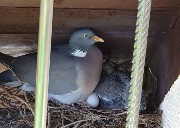 בית אירוח Pawel Jakubik *
