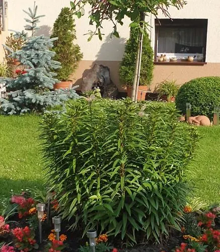 Pawel Jakubik Kwatera prywatna